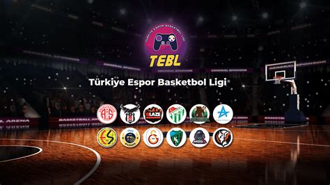 Türkiye'nin Basketbol Ligleri ve Takımları